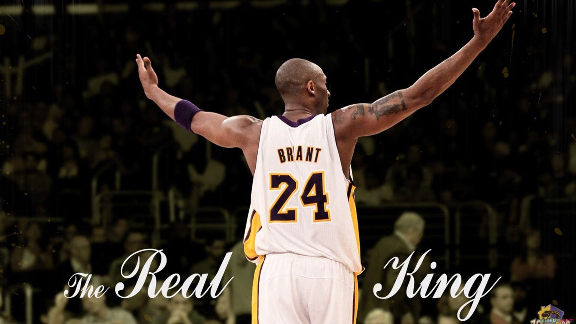 _爵士攻防平衡，排名节节上升_，爵士节奏有哪些